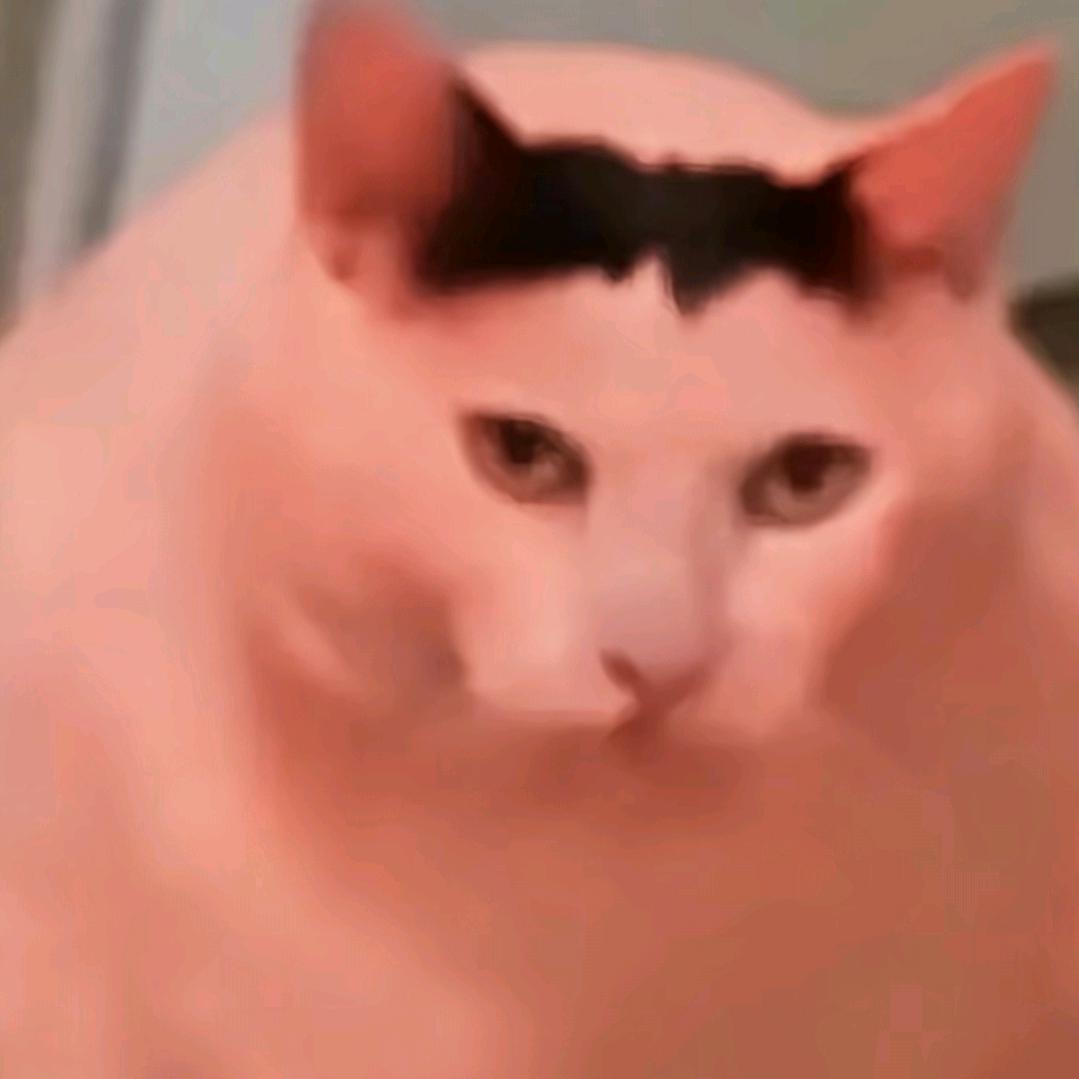 哈G米[融合升华]