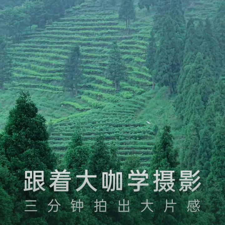 南山闲人