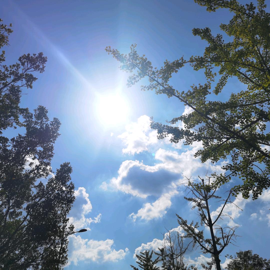 甜麦圈圈的音乐空间