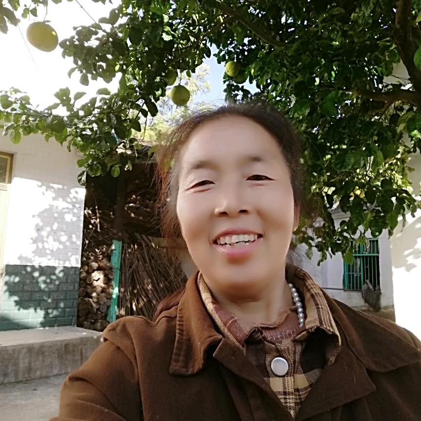 熊大姐(助力号)开播号在主页