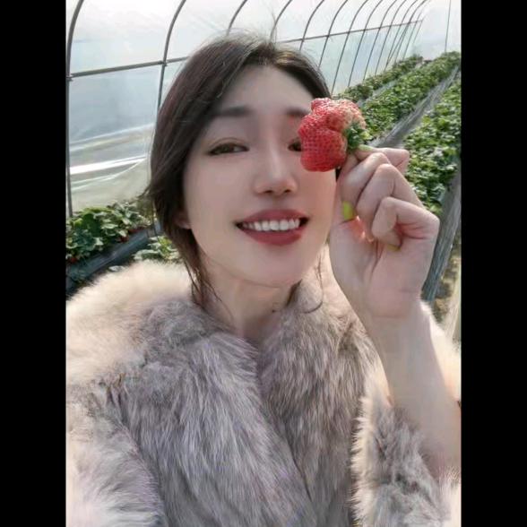 新能源小凤