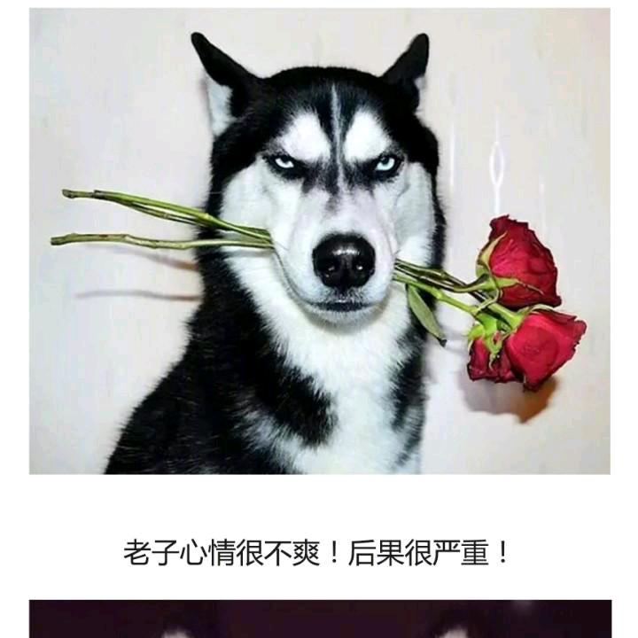 躺平摸鱼爱自由