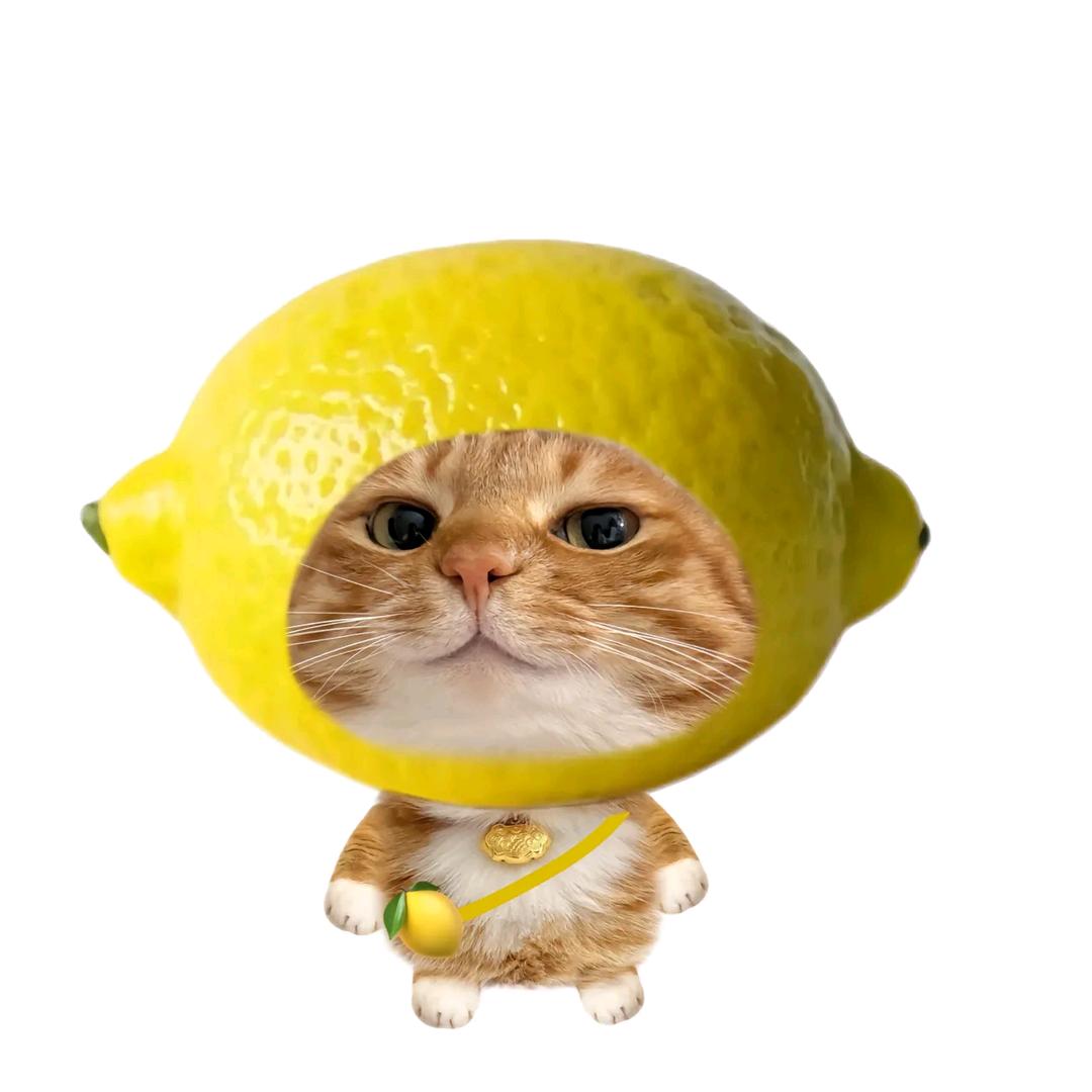 AAA甲粉批发小李