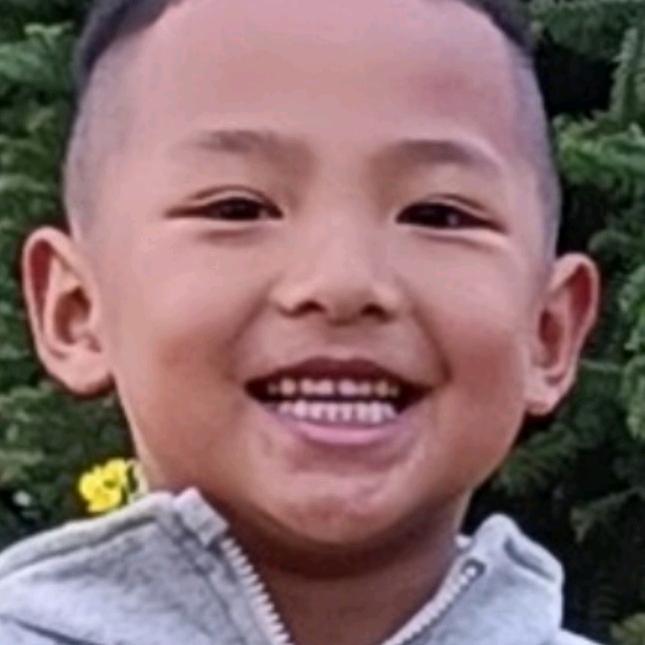 杨辉鸟食