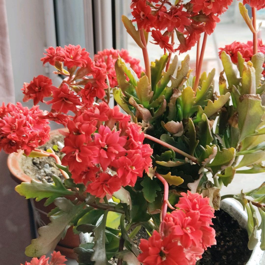 相识靠缘分