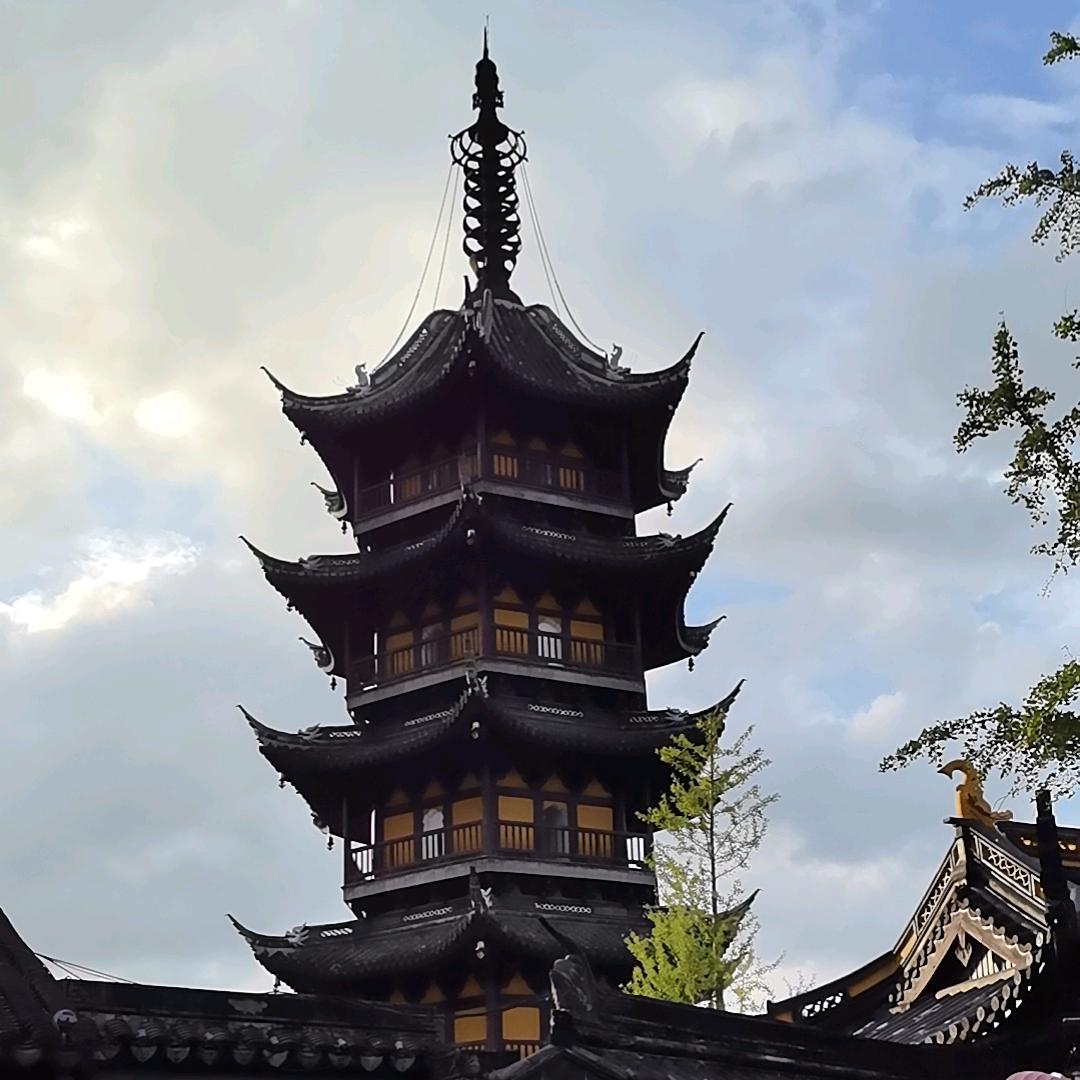 🇨🇳文强🇨🇳