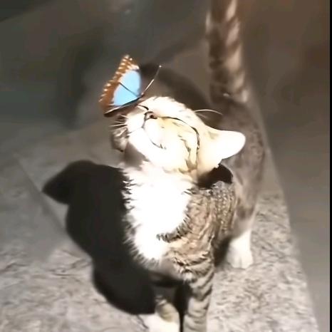 烟雨微微
