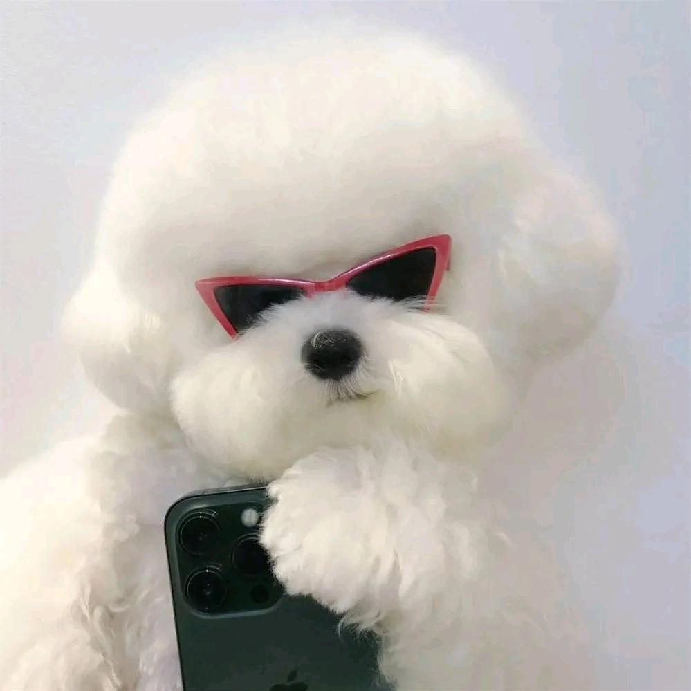 小新