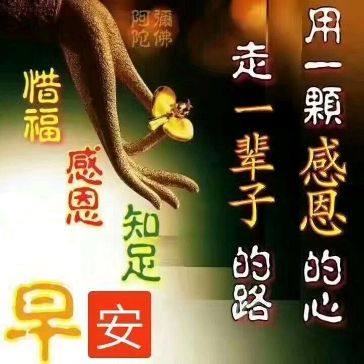 多行善事