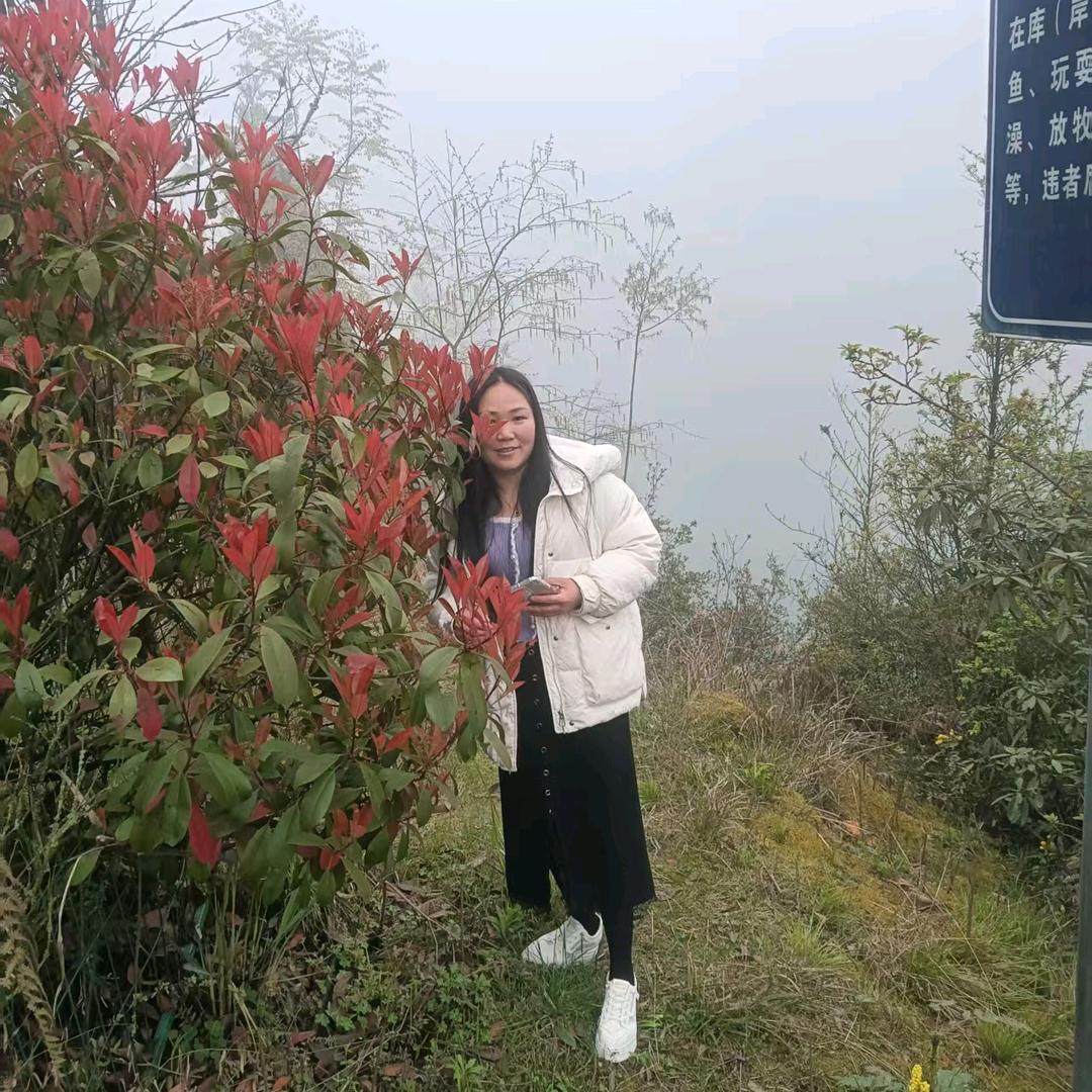 许你一生繁花