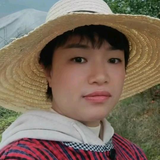 中渡吴妹