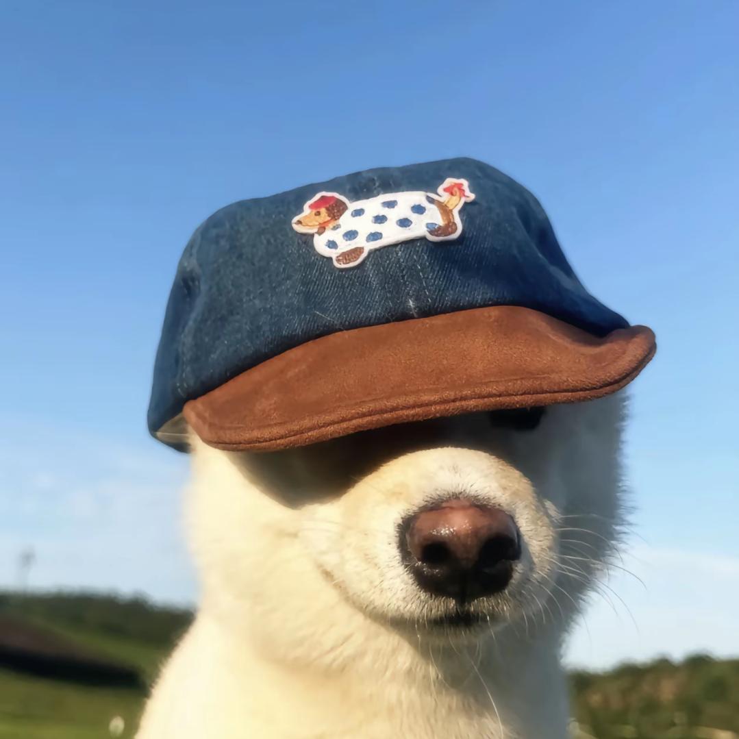 匠音运营总监-艾尔