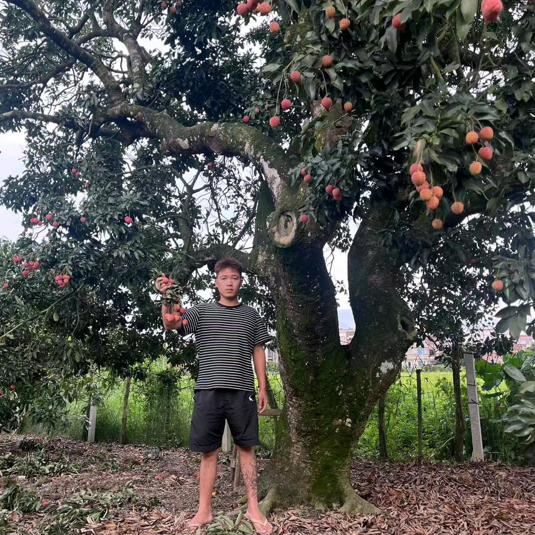 重生在家买农产品