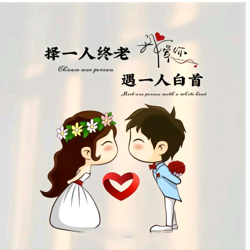 可爱大笨猪专栏