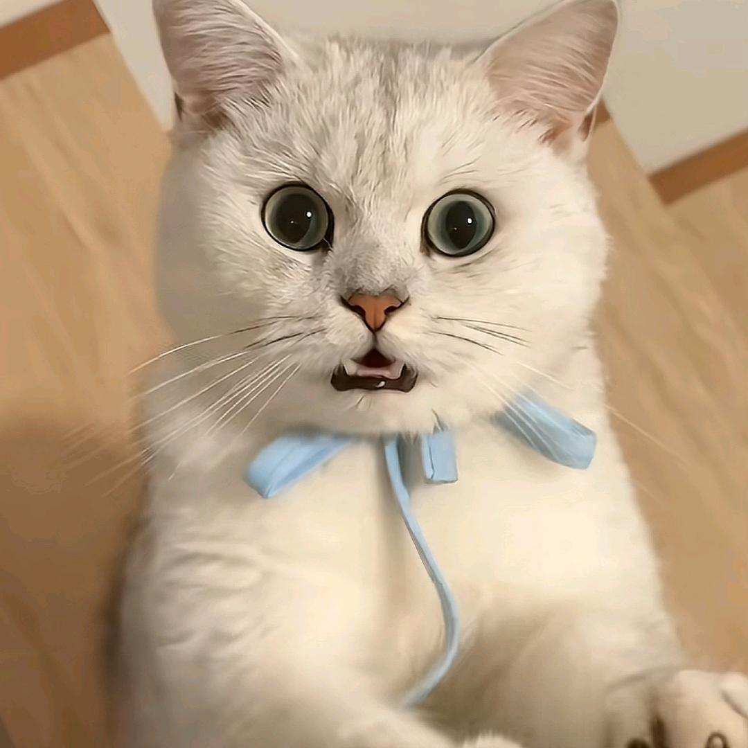 @电动车维修
