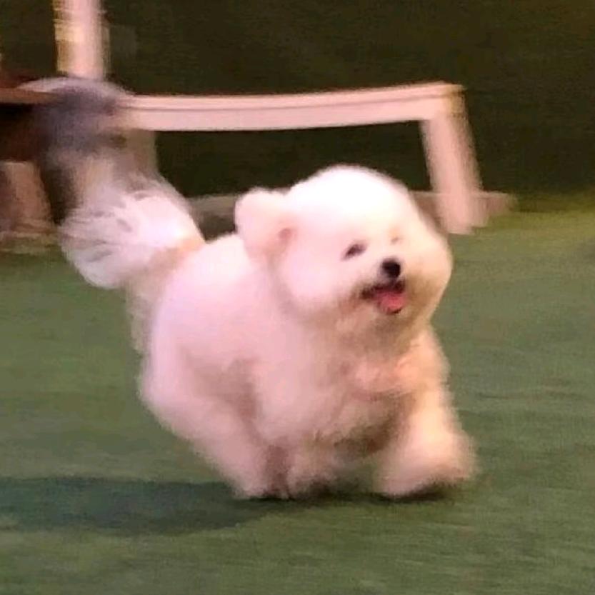 闲于要翻身🍿