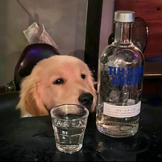 天津制燥