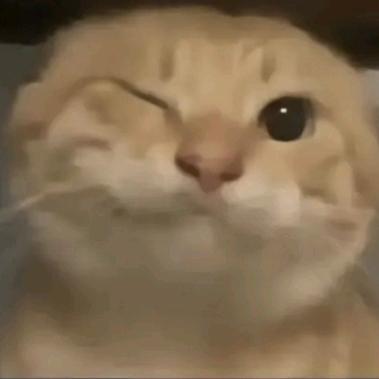 见手青