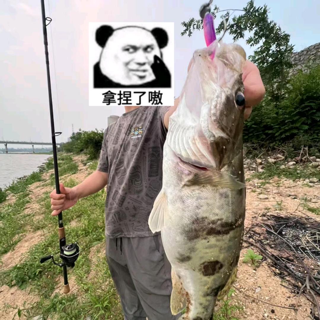 道法自然🎣