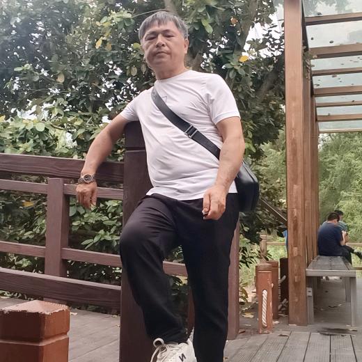 龙的传人