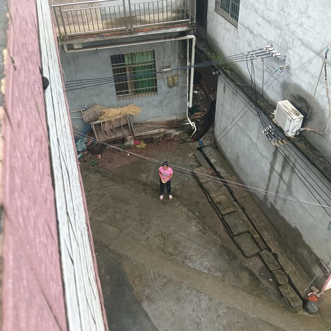 吴总