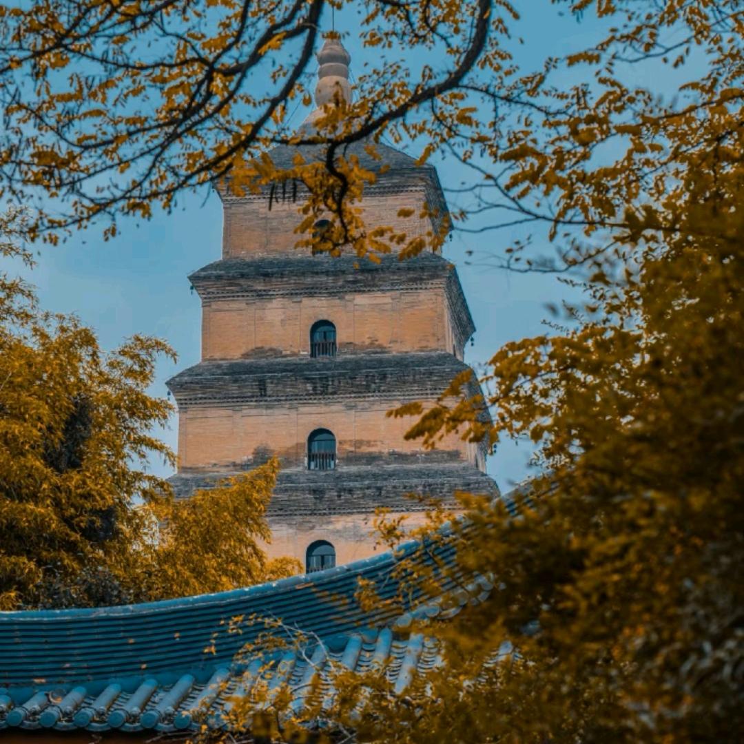 陕历博旅游攻略