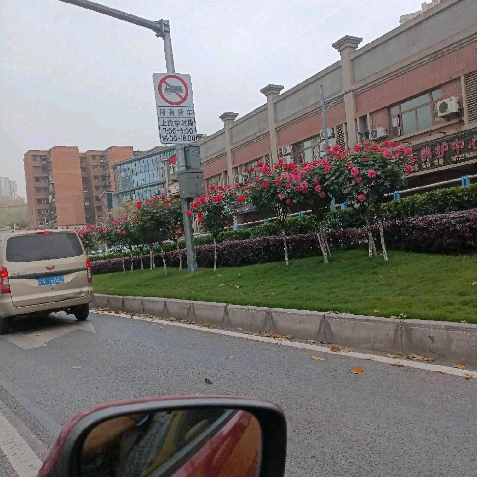 谁能懂我珍珍