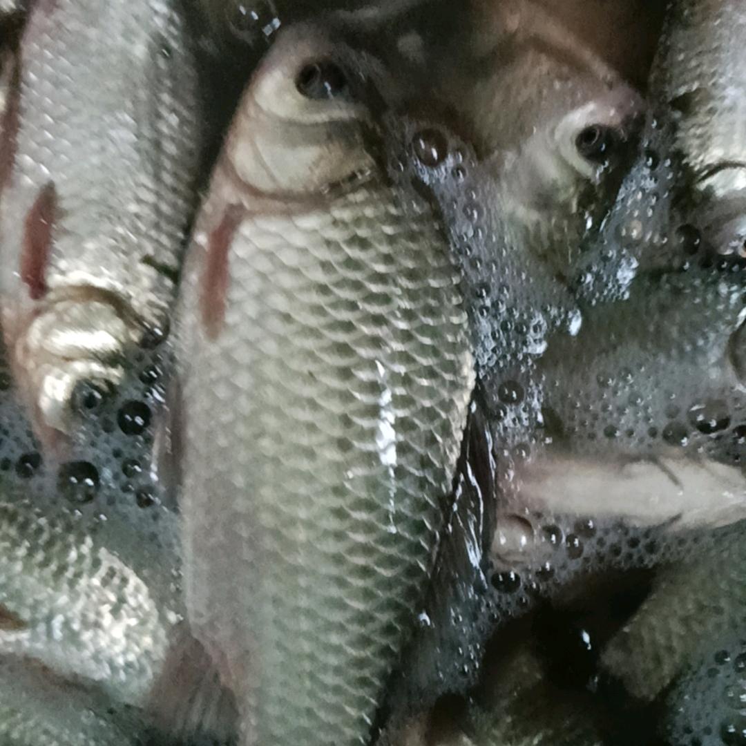 风雨恋