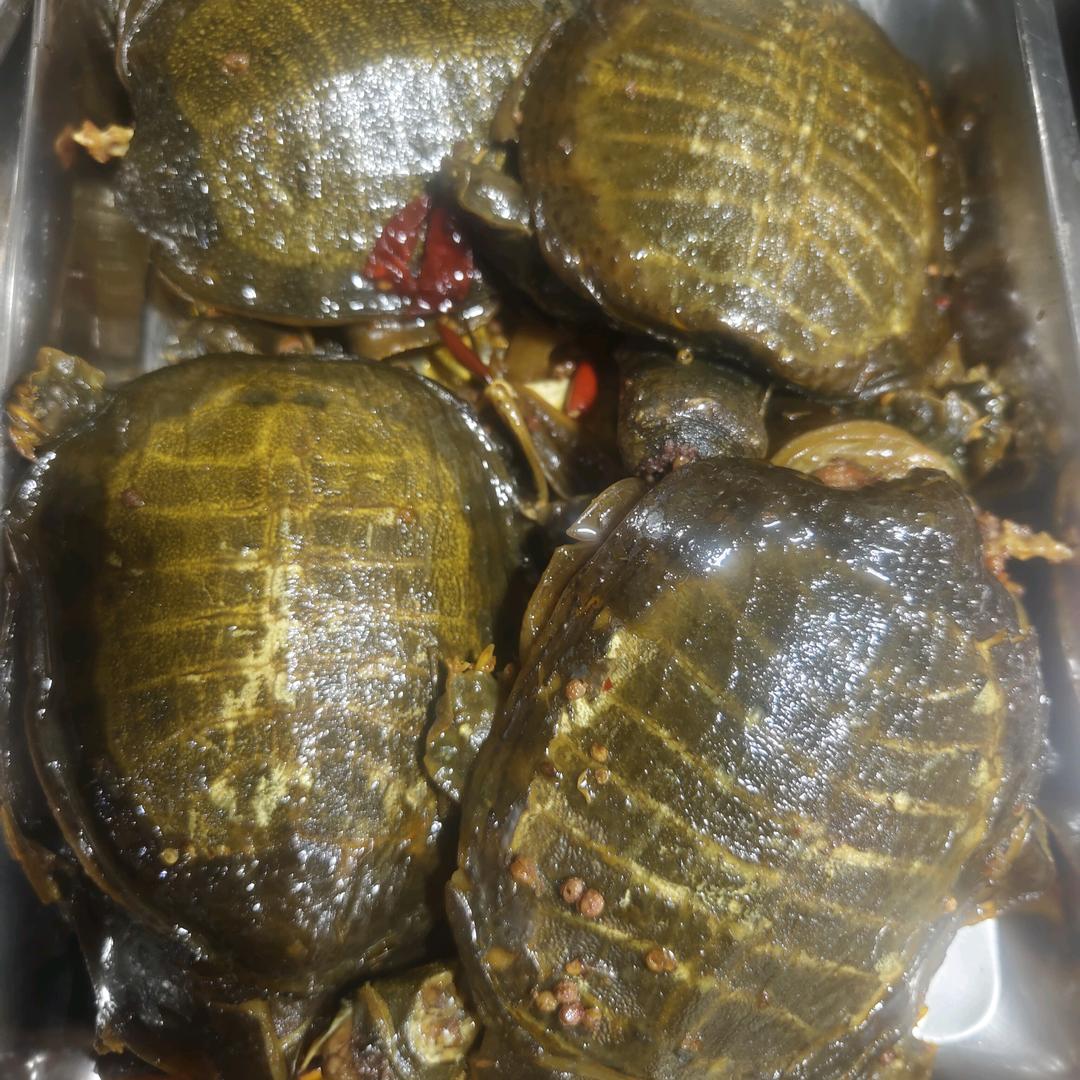 有意施
