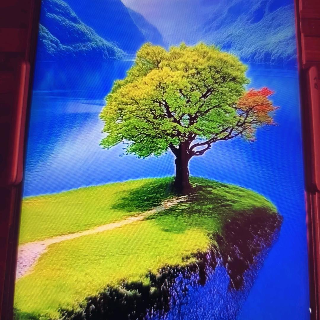 金林权