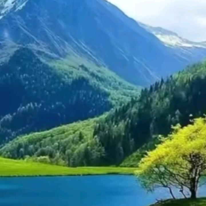唯我独尊