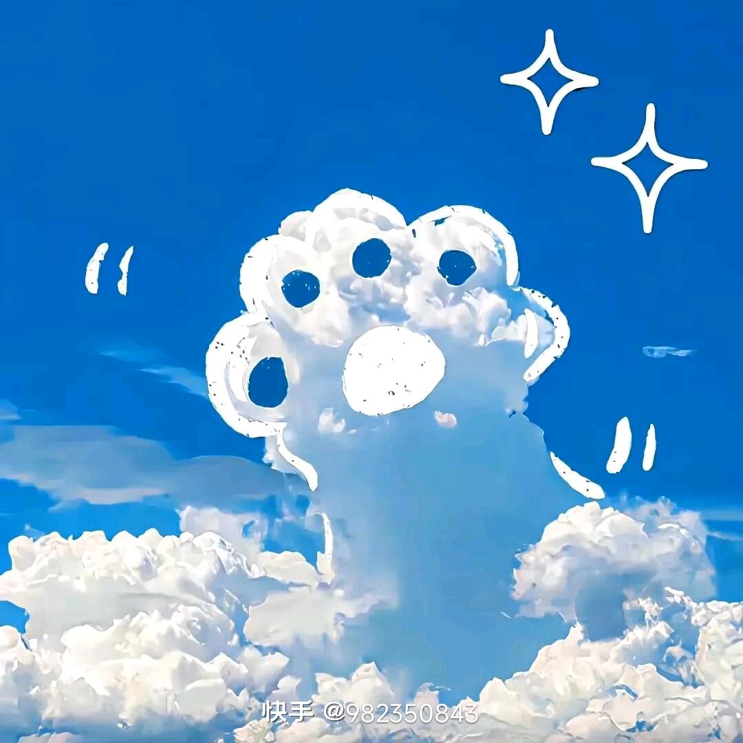 曹贼