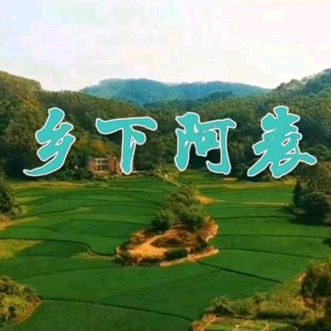 乡下阿表