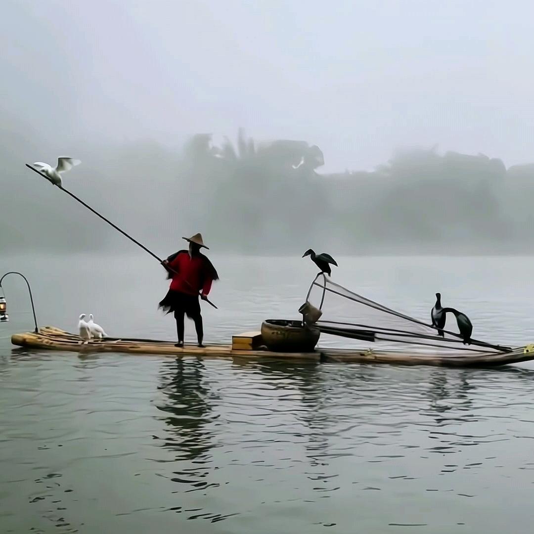皕森林