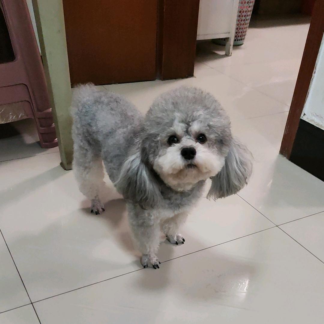 相香连萌