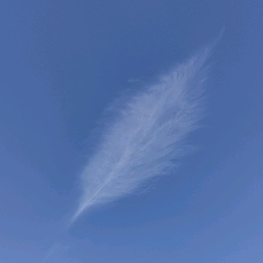 涛声依旧