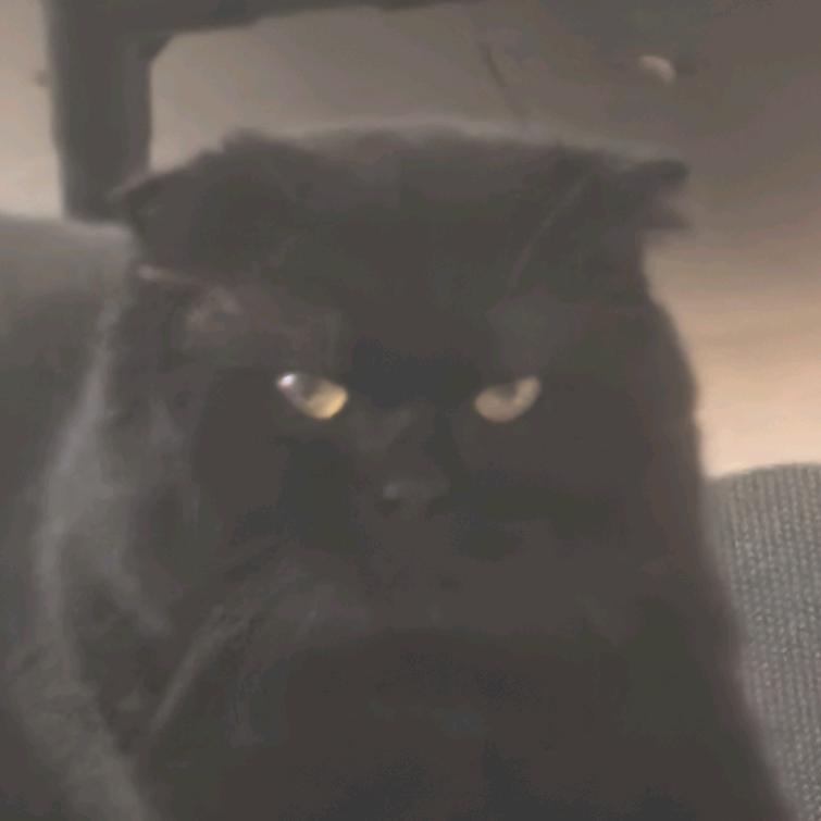 马仔
