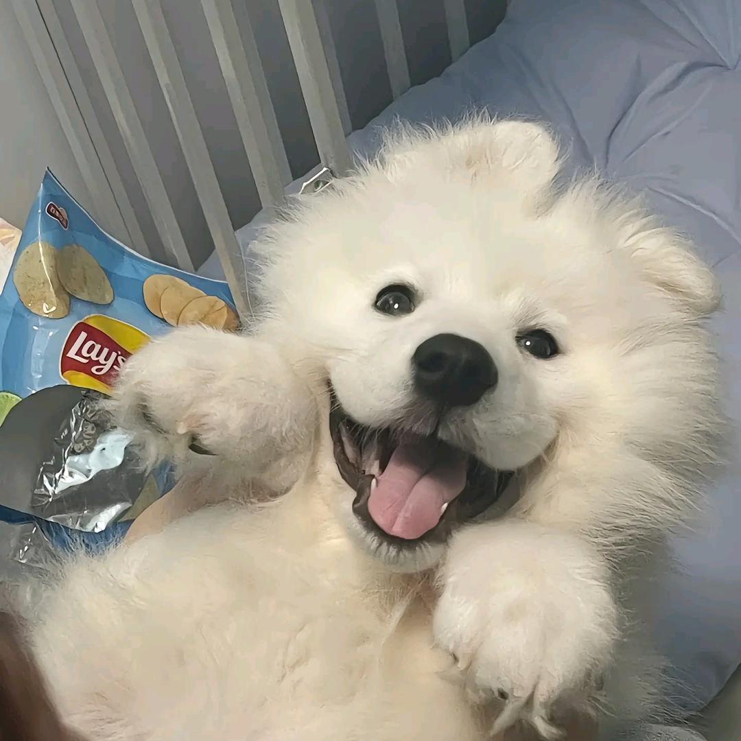 🌈宇宙超级无敌变态普信的酸酸芒果先生ꦿ