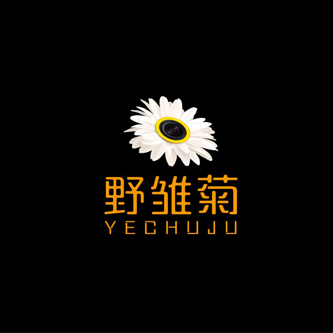 野雏菊Daisy🎥
