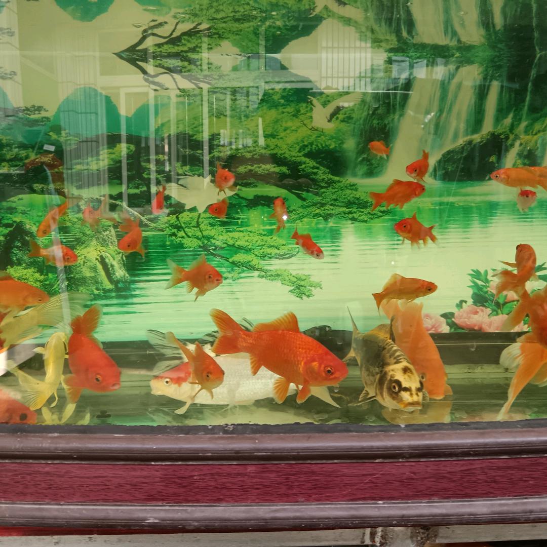 李家老三