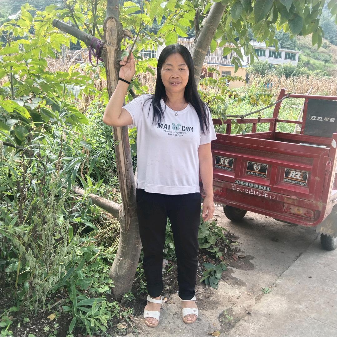 张三姐