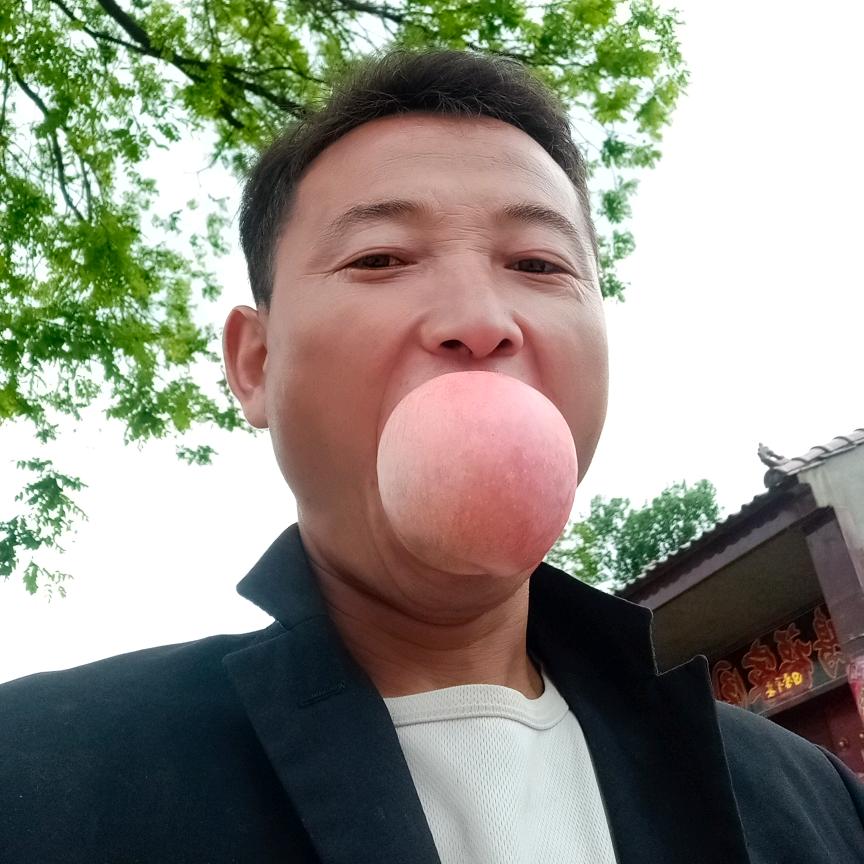 富县苹果代理