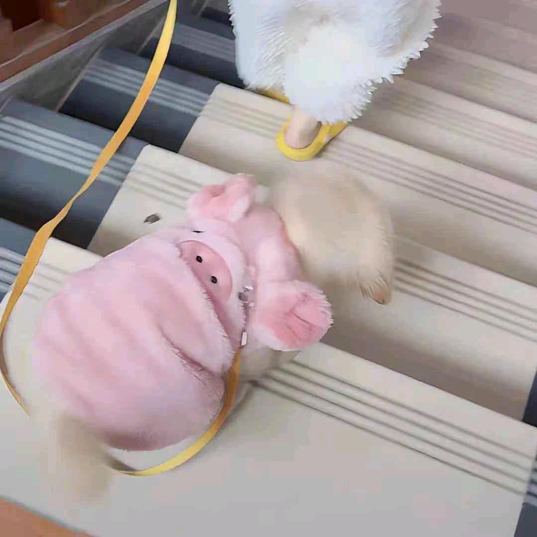 小乔水电暖