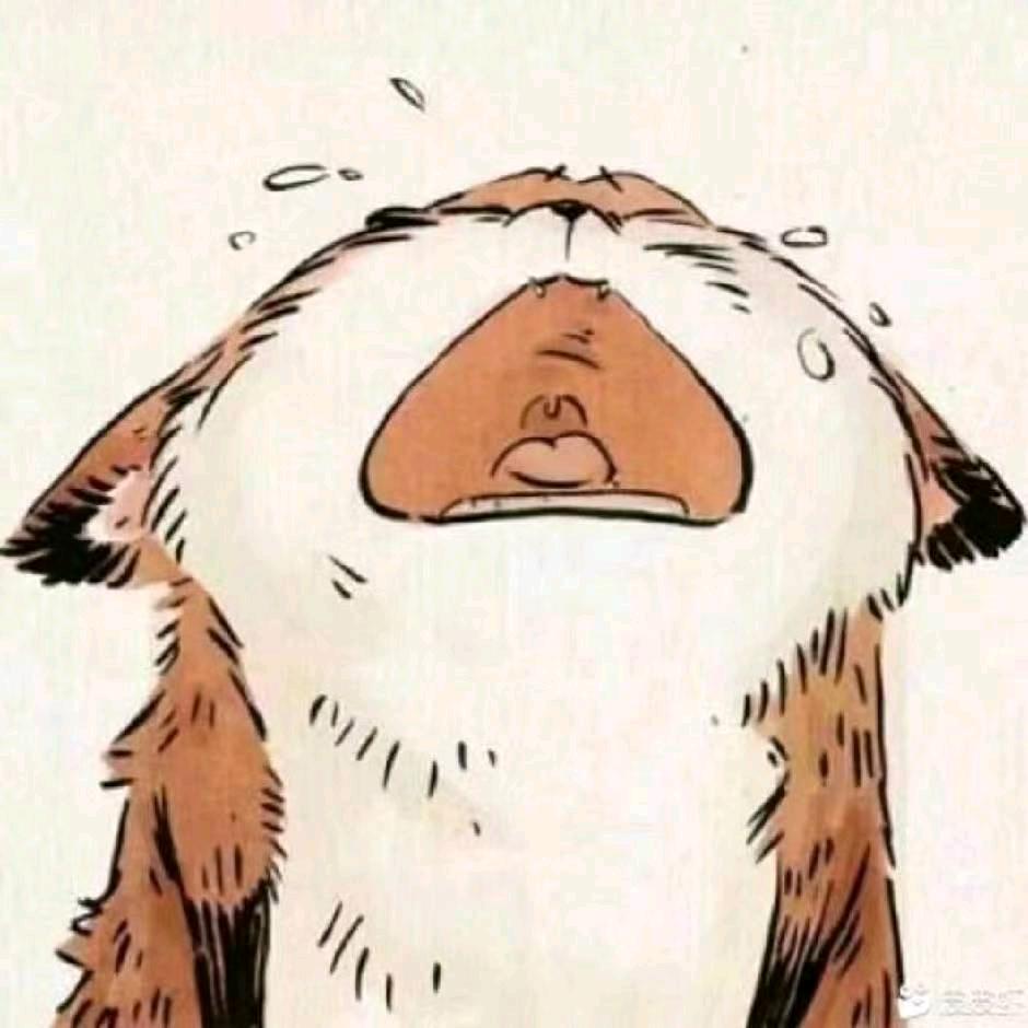 剑与远征启程土豆牧师