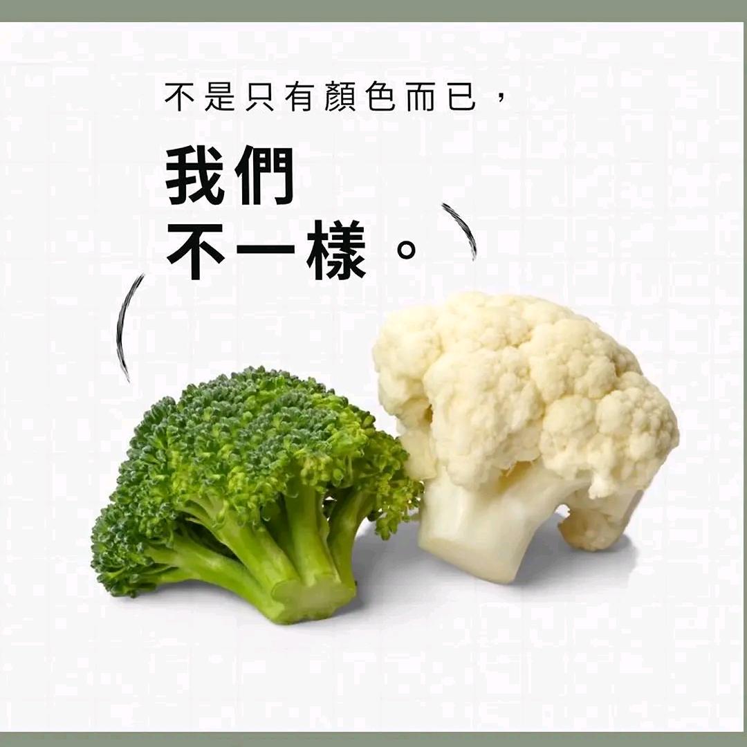 #只争朝夕#