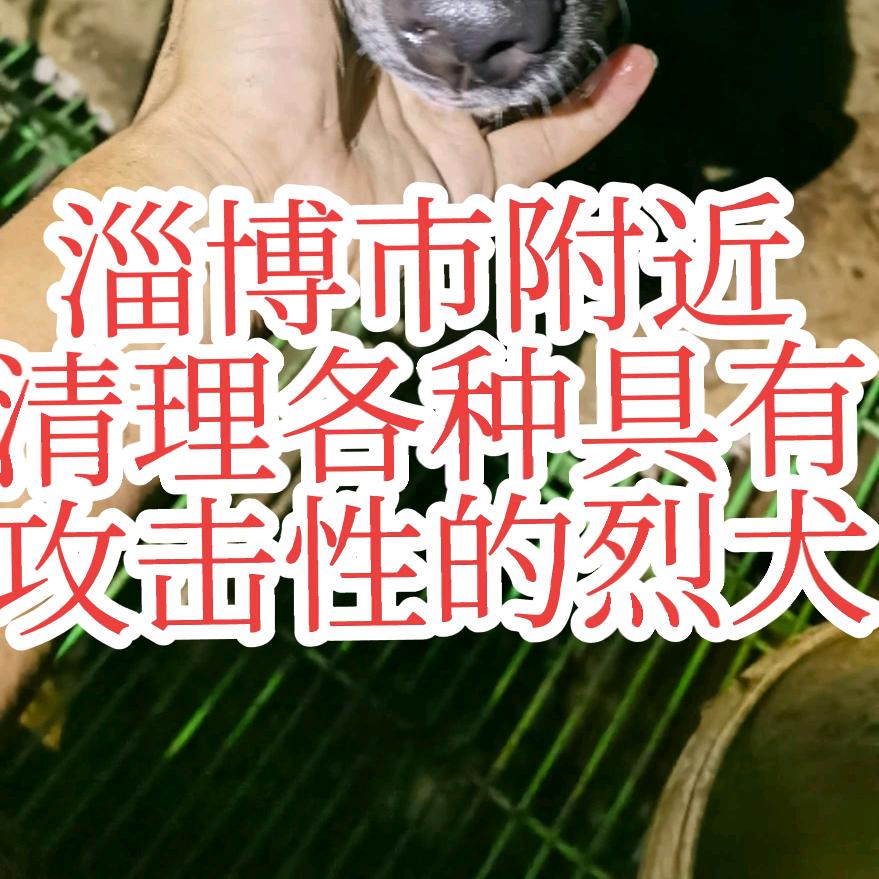 邢小硕啊 😋
