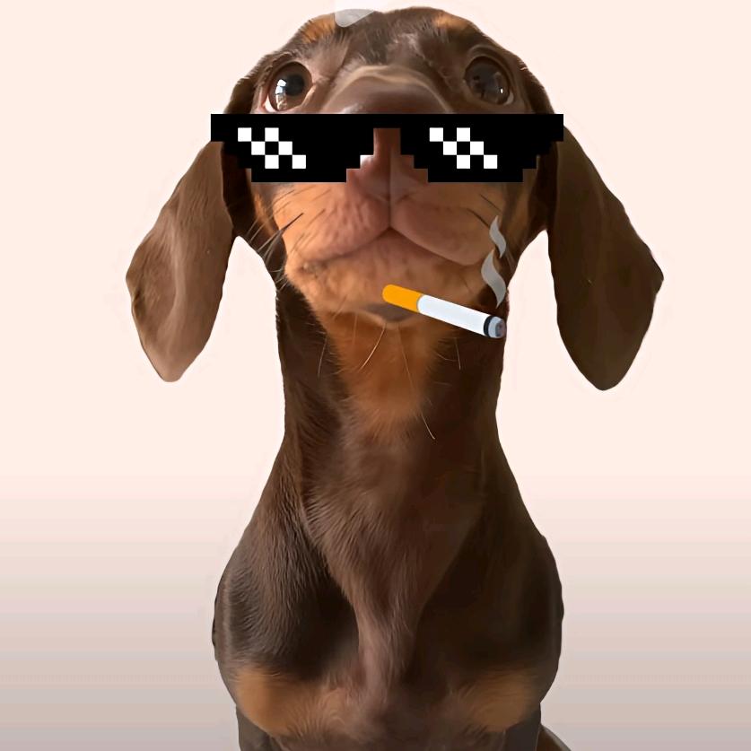 蘇狗子（集训版）