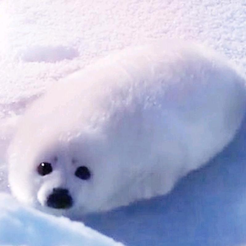 海鲜