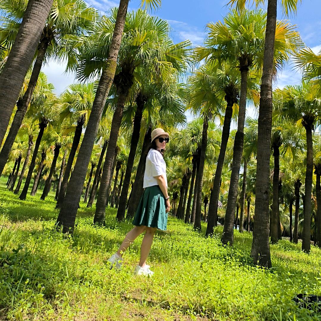 小燕子