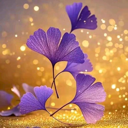 愿幸运一直都在